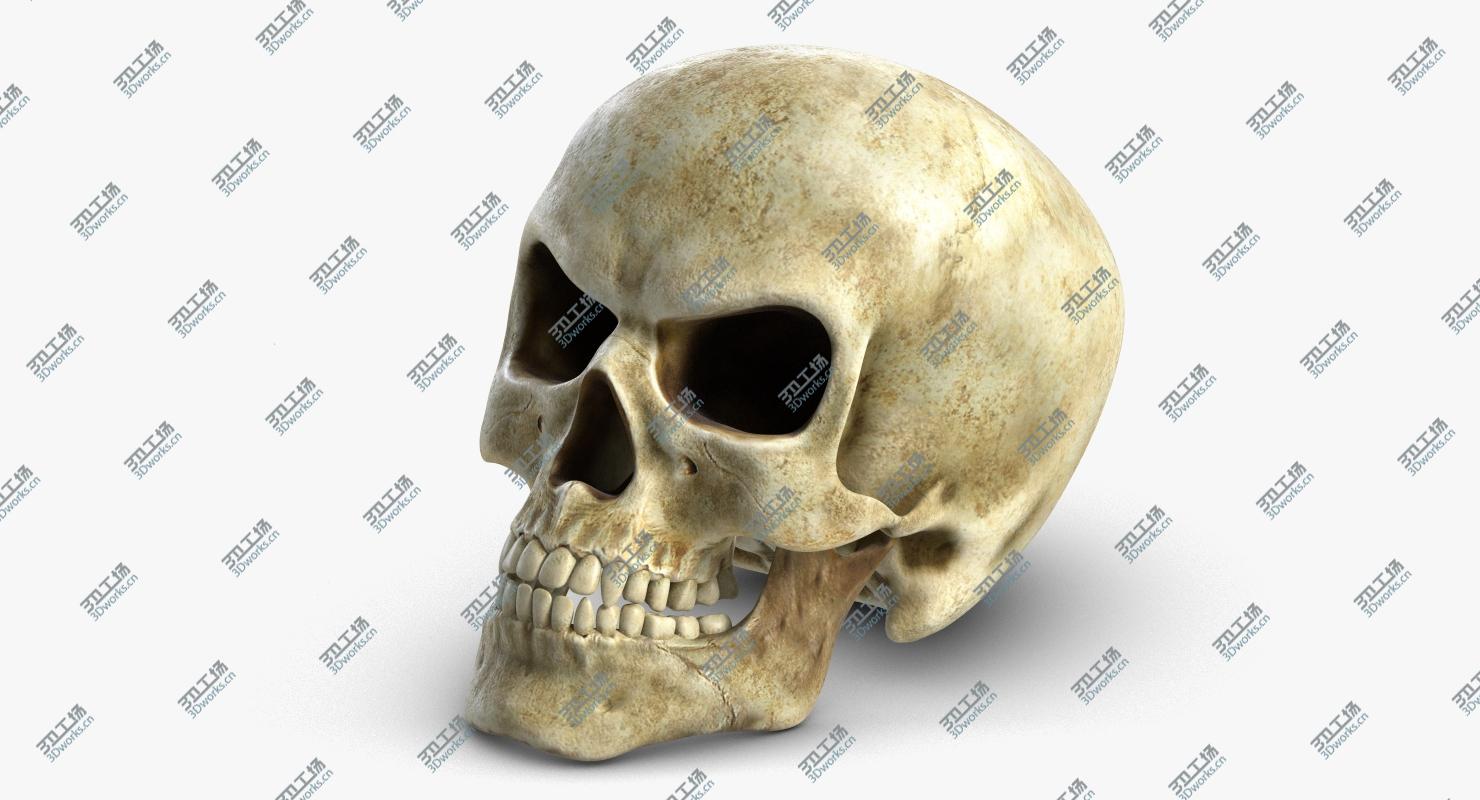 images/goods_img/202104023/Skull 3/5.jpg